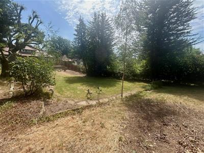 Picture 19